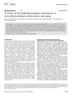 A review of the pathophysiological mechanisms of doxorubicin-induced cardiotoxicity and aging