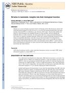 Sirtuins in mammals: insights into their biological function