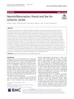 Neuroinflammation: friend and foe for ischemic stroke