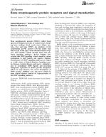 Bone morphogenetic protein receptors and signal transduction