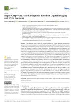Rapid Grapevine Health Diagnosis Based on Digital Imaging and Deep Learning