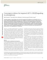 Convergent evidence for impaired AKT1-GSK3β signaling in schizophrenia