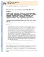 Structural and molecular interrogation of intact biological systems