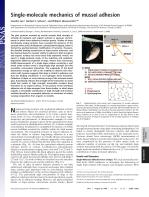 Single-molecule mechanics of mussel adhesion