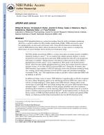 γH2AX and cancer