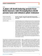 A plant cell death-inducing protein from litchi interacts with Peronophythora litchii pectate lyase and enhances plant resistance