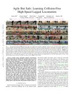 Agile But Safe: Learning Collision-Free High-Speed Legged Locomotion