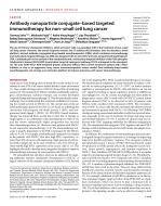 Antibody nanoparticle conjugate-based targeted immunotherapy for non-small cell lung cancer