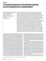 Consistent patterns of common species across tropical tree communities