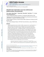 Zebrafish heart regeneration occurs by cardiomyocyte dedifferentiation and proliferation