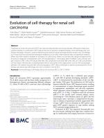 Evolution of cell therapy for renal cell carcinoma