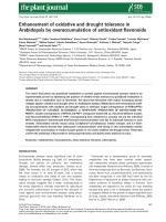 Enhancement of oxidative and drought tolerance in Arabidopsis by overaccumulation of antioxidant flavonoids