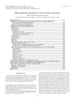 Microorganisms Resistant to Free-Living Amoebae