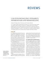 CALCIUM SIGNALLING: DYNAMICS, HOMEOSTASIS AND REMODELLING