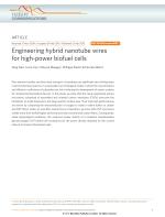 Engineering hybrid nanotube wires for high-power biofuel cells