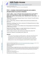PGC-1α mediates mitochondrial biogenesis and oxidative phosphorylation to promote metastasis