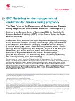 ESC Guidelines on the management of cardiovascular diseases during pregnancy