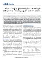 Analyses of pig genomes provide insight into porcine demography and evolution