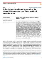 Solar-driven membrane separation for direct lithium extraction from artificial salt-lake brine