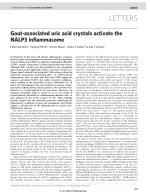Gout-associated uric acid crystals activate the NALP3 inflammasome
