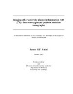 Imaging atherosclerotic plaque inflammation with [18F]- fluorodeoxyglucose positron emission tomography