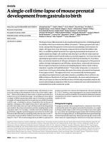 A single-cell time-lapse of mouse prenatal development from gastrula to birth