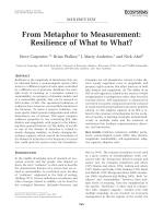 From Metaphor to Measurement: Resilience of What to What?