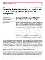 Non-volatile rippled-assisted optoelectronic array for all-day motion detection and recognition