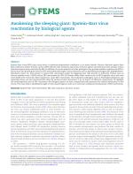 Awakening the sleeping giant: Epstein–Barr virus reactivation by biological agents