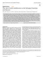 The role of m6A modification in the biological functions and diseases