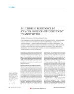 MULTIDRUG RESISTANCE IN CANCER: ROLE OF ATP-DEPENDENT TRANSPORTERS