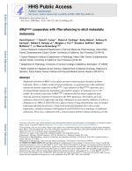 BRafV600E cooperates with Pten silencing to elicit metastatic melanoma