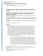 Capillary pericytes regulate cerebral blood flow in health and disease