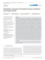 Quantitative assessment of microbial necromass contribution to soil organic matter