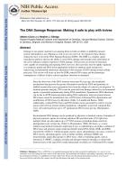 The DNA Damage Response: Making it safe to play with knives