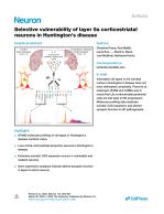 Selective vulnerability of layer 5a corticostriatal neurons in Huntington’s disease