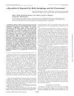 α-Synuclein Is Degraded by Both Autophagy and the Proteasome