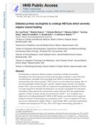 Diabetes primes neutrophils to undergo NETosis which severely impairs wound healing