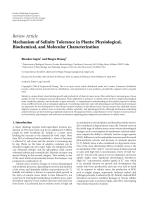 Mechanism of Salinity Tolerance in Plants: Physiological, Biochemical, and Molecular Characterization
