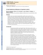 A dual-networks architecture of top-down control