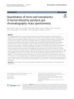 Quantitation of micro and nanoplastics in human blood by pyrolysis-gas chromatography–mass spectrometry