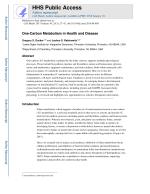 One-Carbon Metabolism in Health and Disease