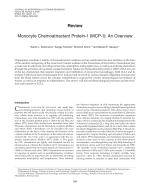 Monocyte Chemoattractant Protein-1 (MCP-1): An Overview
