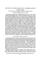 THE EFFECT OF SOLID SURFACES UPON BACTERIAL ACTIVITY