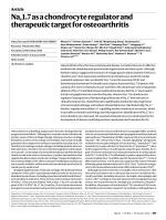 Na_v1.7 as a chondrocyte regulator and therapeutic target for osteoarthritis