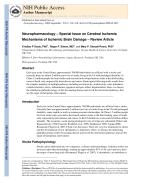 Neuropharmacology – Special Issue on Cerebral Ischemia Mechanisms of Ischemic Brain Damage – Review Article