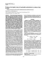 Evidence for higher rates of nucleotide substitution in rodents than in man