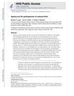 Ageing and the pathogenesis of osteoarthritis