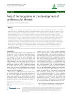 Role of homocysteine in the development of cardiovascular disease