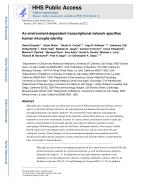 An environment-dependent transcriptional network specifies human microglia identity